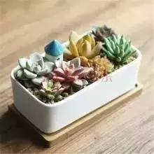 辦公室風(fēng)水禁忌&催財(cái)運(yùn)**！新的一年加薪看這里！